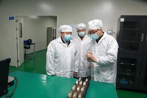 高新區(qū)主要領導深入重點項目企業(yè)檢查疫情防控工作