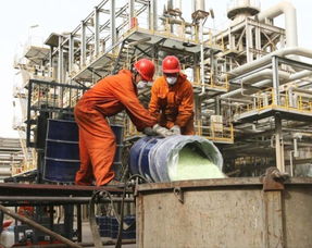 海量精選高清圖片庫 四川天采科技有限責任公司代理服務全面解析